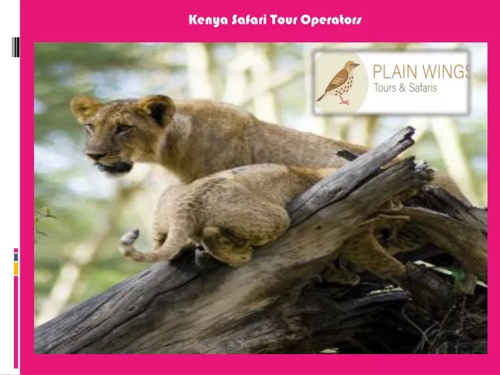 kenya safari tour operators