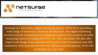 Digital Marketing Company - Netsurge