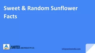 Sweet & Random Sunflower Facts