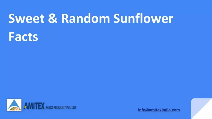 sweet random sunflower facts