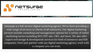 Web Design and Development Services - Netsurge