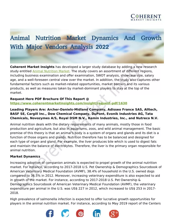 animal nutrition market dynamics and growth