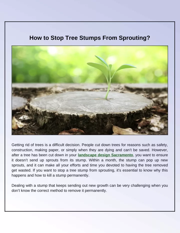 how to stop tree stumps from sprouting