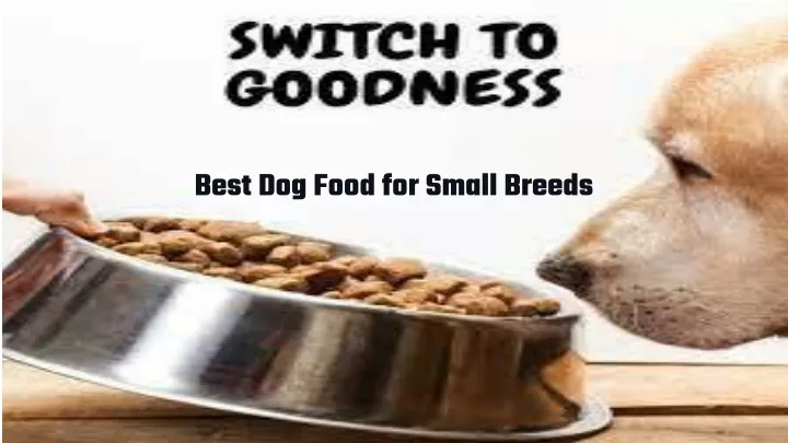 best dog food for small breeds