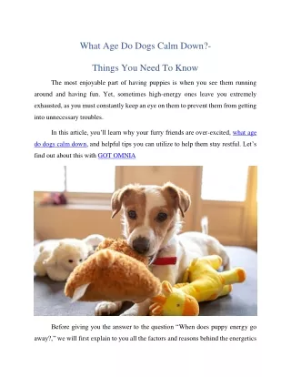 What Age Do Dogs Calm Down?- Things You Need To Know
