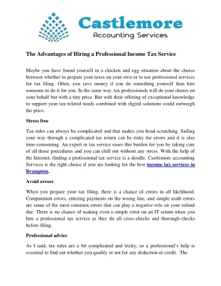 The Advantages of Hiring a Professional Income Tax Service