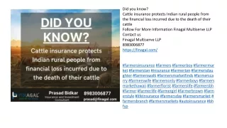 Cattle insurance in Pune - Best Insurance Consultation Company in Pune | FINAGAL