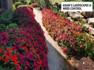 Landscape Installers in Tulsa
