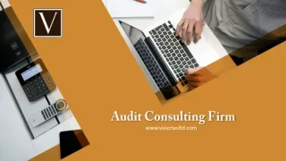 Audit Consulting Firm