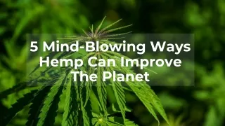 5 Mind-Blowing Ways Hemp Can Improve The Planet