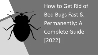 How to Get Rid of Bed Bugs Fast & Permanently A Complete Guide [2022]