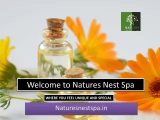Welcome to Natures Nest Spa