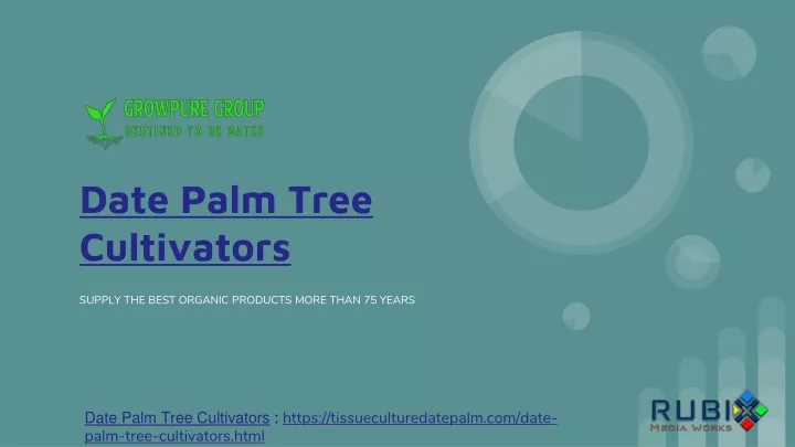 date palm tree cultivators