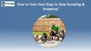 How To Stop Your Dog From Growling And Snapping - Primal Needs