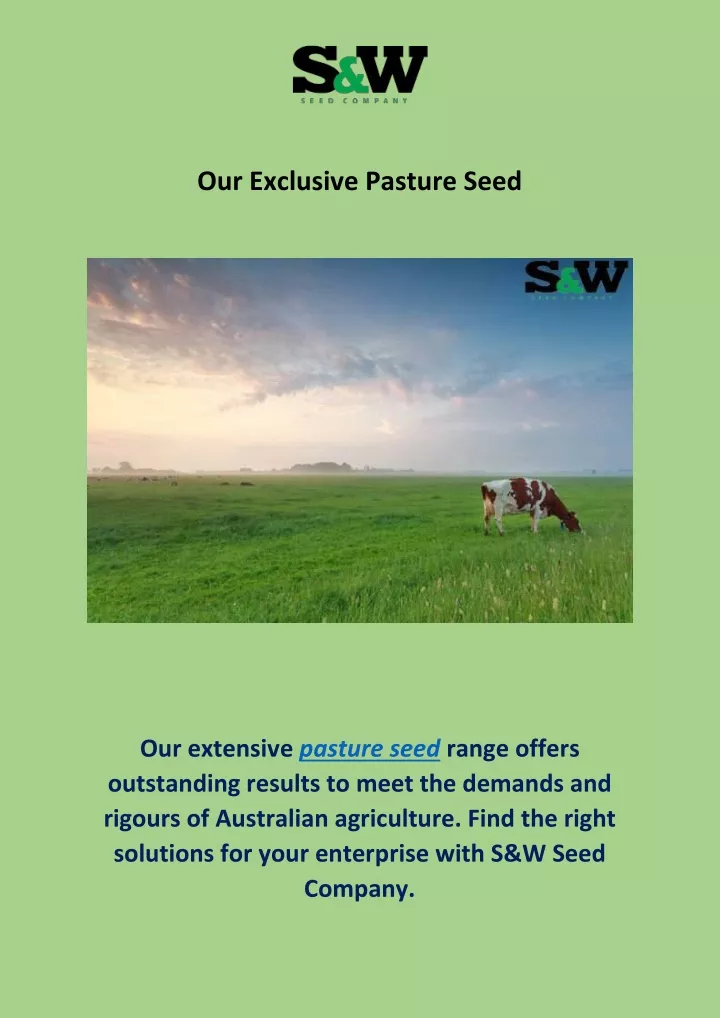 our exclusive pasture seed