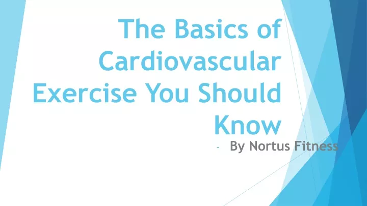 the basics of cardiovascular exercise you should know