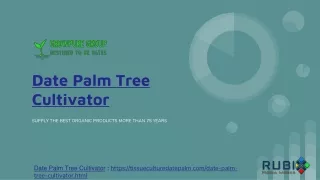 Date Palm Tree Cultivator