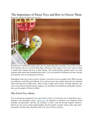 the importance of parrot toys and how to choose
