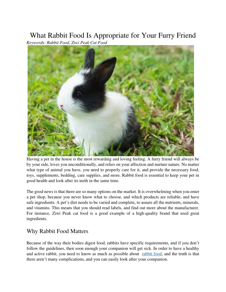what rabbit food is appropriate for your furry