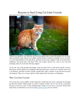 reasons to start using cat litter crystals