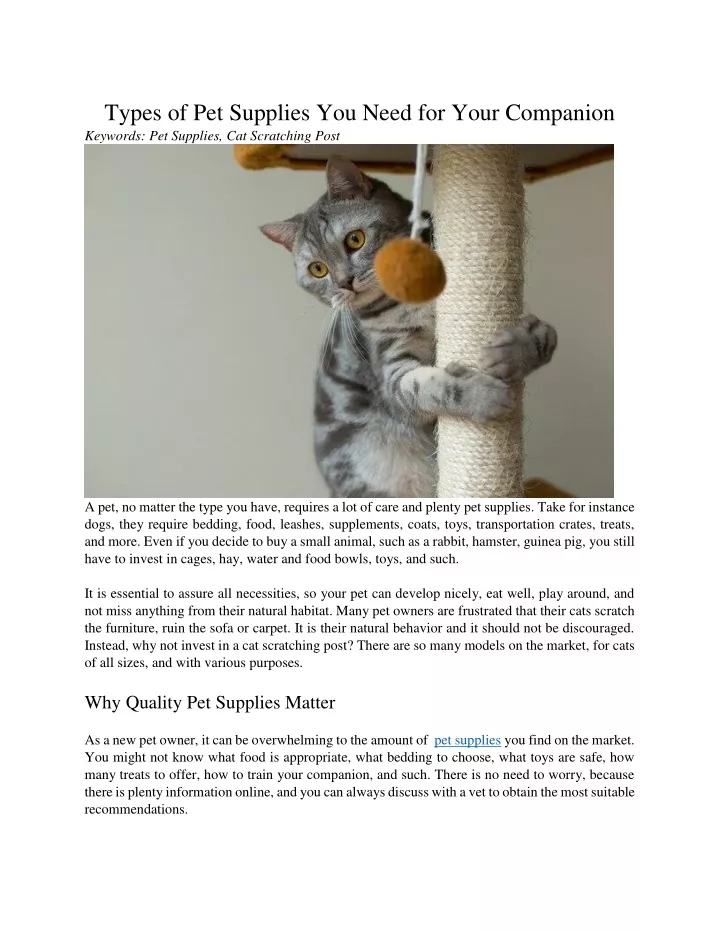 types of pet supplies you need for your companion