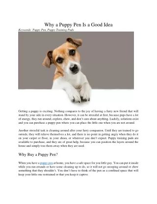 why a puppy pen is a good idea keywords puppy