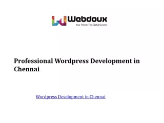 Professional Wordpress Development in Chennai