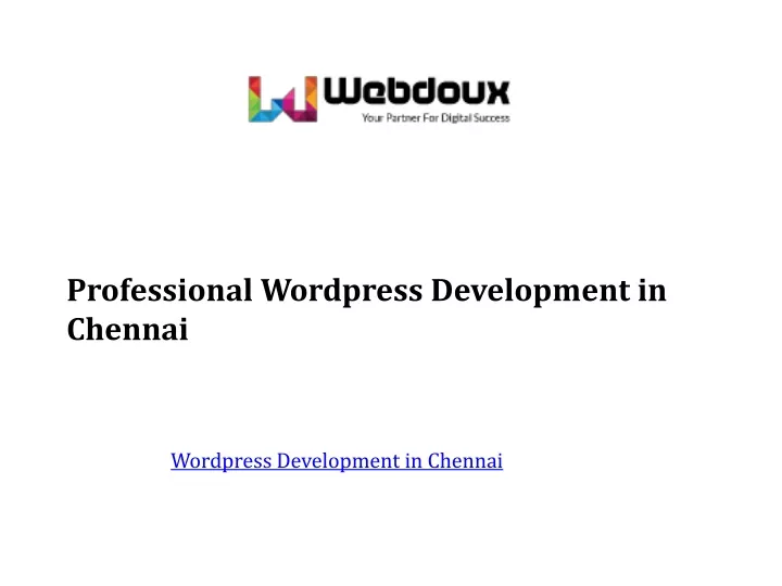 professional wordpress development in chennai