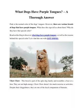 What Dogs Have Purple Tongues? – A Thorough Answer