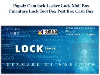 Papaiz Cam lock Locker Lock Mail Box Furniture Lock Tool Box Post Box Cash Box