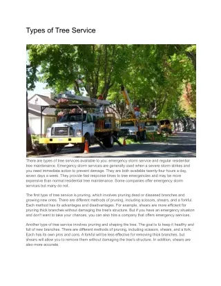 Types of Tree Services