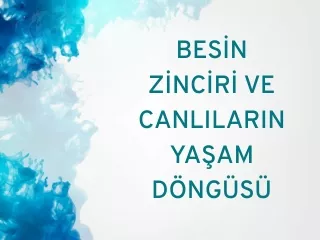 bes n z nc r ve canlilarin ya am d ng s