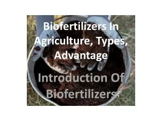 Biofertilizers In Agriculture, Types, Advantage