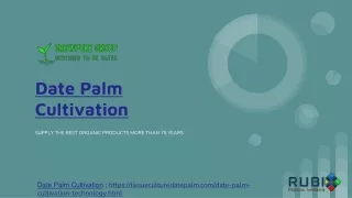 Date Palm Cultivation