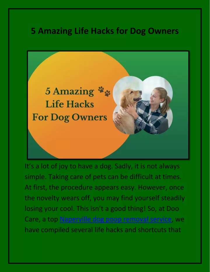 5 amazing life hacks for dog owners