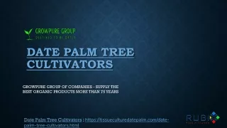 Date Palm Tree Cultivators - Growpure Group of Companies