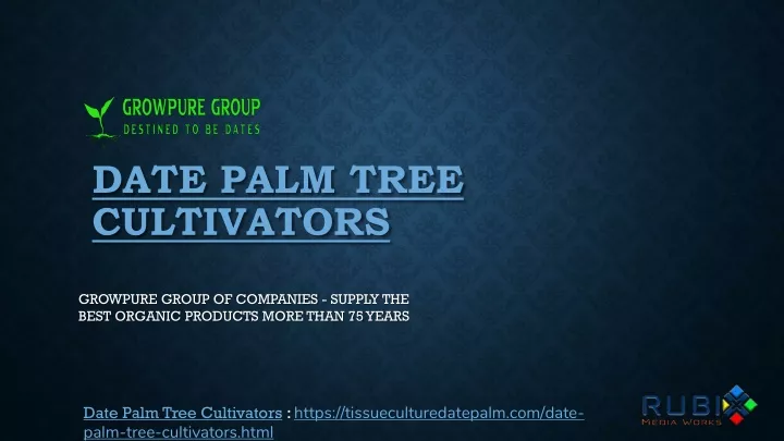 date palm tree cultivators