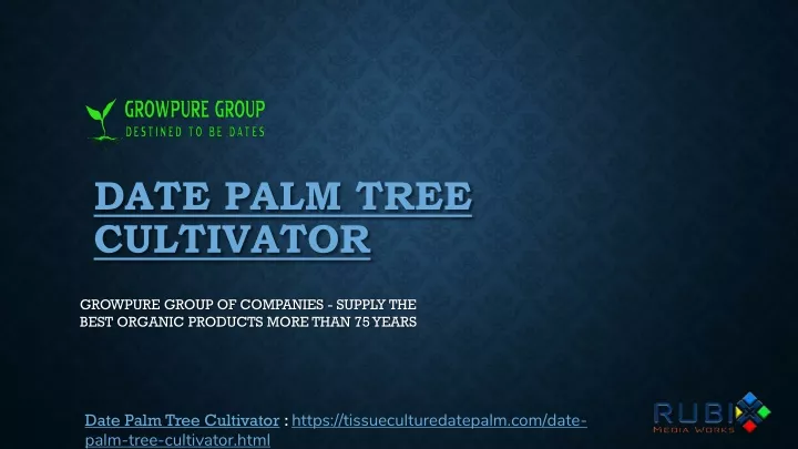 date palm tree cultivator