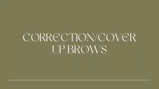 correction cover up brows