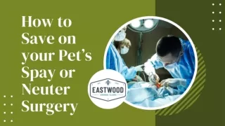 How to save on your pet’s spay or neuter surgery