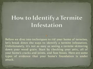 List to Identify a Termite Infestation