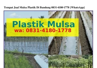 Tempat Jual Mulsa Plastik Di Tempat Jual Mulsa Plastik Di Bandung O8Зl•Կl8O•l778