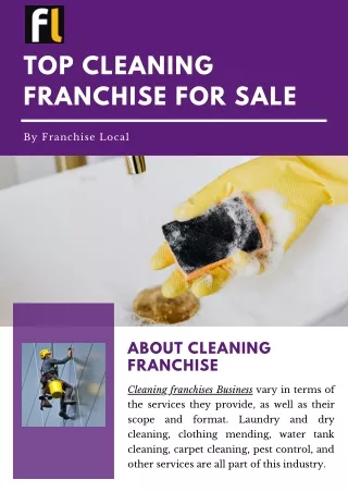 Top Cleaning Franchise Opportunities