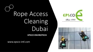 Rope Access Cleaning Dubai_