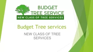 Budget Tree services Pdf