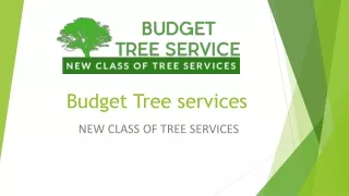 Budget Tree services PPT