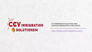 Best Immigration Consultants for Canada