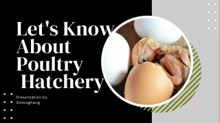 let s know about poultry hatchery presentation