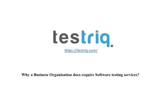 Why a Business Organisation does require Software testing services