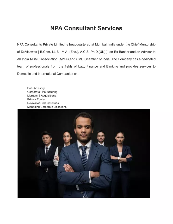 npa consultant services